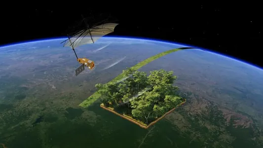 ESA запустила на орбиту спутник для исследования лесов