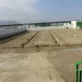 Gökdepe Ýañgala plan jaý