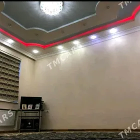 Taze zaman kotej
