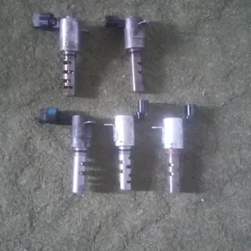 VVTI WANUS DATCIK