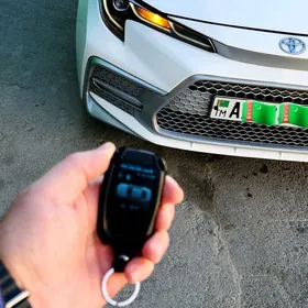Toyota Corolla 2021