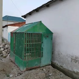 ketek