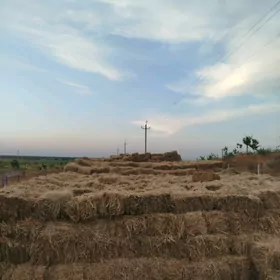 YORUNJA