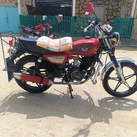 Fekon FK150-8G 2015
