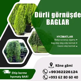 BAGLAR WE GÜLLER