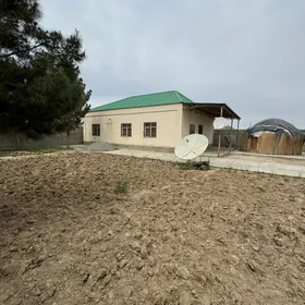 Öñaldy obasy8sotok3kom123m