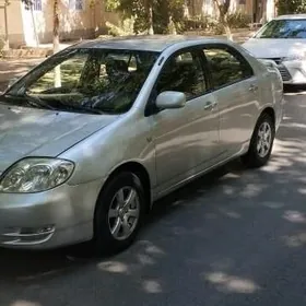 Waditelik iş gerek