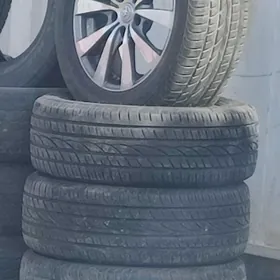 diska pakryşka