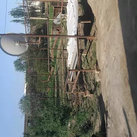 теплица обмен мал билен