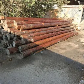 polluk agac laminat alyas
