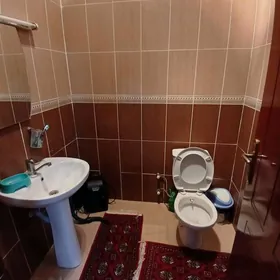 Gogol poluelitka 2 kom arzan