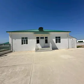 kor cay anew