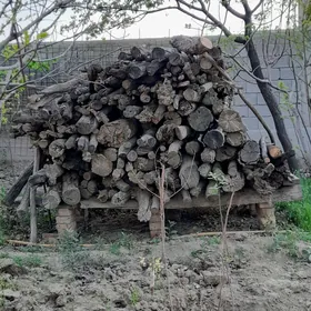 Töňňe odunluk