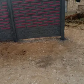 Haýat (Beton Zabor)
