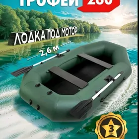 Лодка ПВХ Трофей 260м