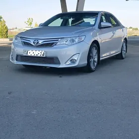 Toyota Camry 2013