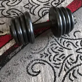 спорт