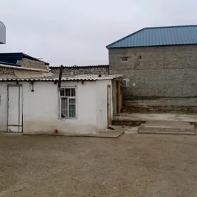 мелек чай гами