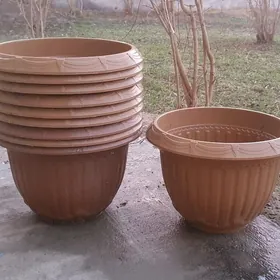 GULLER GARSOK