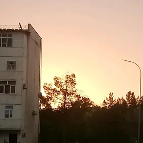 Satlyk ya-da obmen