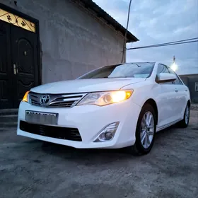 Toyota Camry 2013