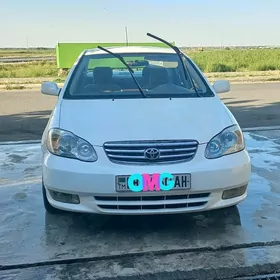 Toyota Corolla 2003