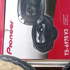 Pioneer V3. V2 калонка