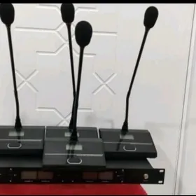 STOLDA GOYULYAN MIKRAFON
