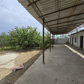 Анау 6 соток