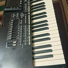 Korg PA 3 ulusy