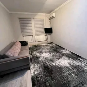 Arenda mir7 