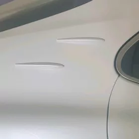 Camry zabra
