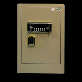 Seyf (сейф) 70G