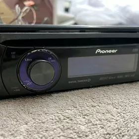Pioneer dilfin