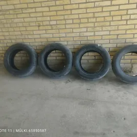 215 60 16 pakrysga