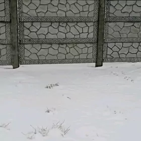 Haýat (Beton Zabor)