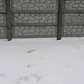 Haýat (Beton Zabor)
