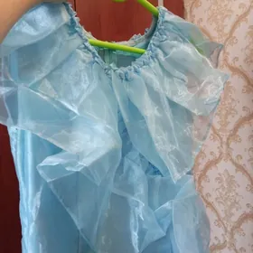 койнек