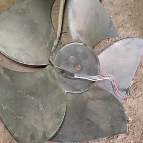 lopus,motor  kondisioner