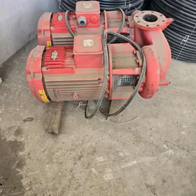 elektro dwigitel 30 kwt