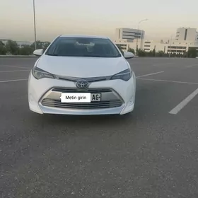 Toyota Corolla 2019