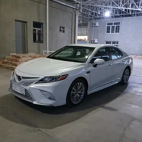 Toyota Camry 2020