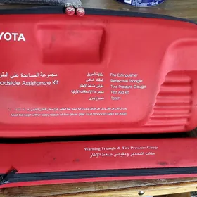 TOYOTA Lexus Aptecka, znak