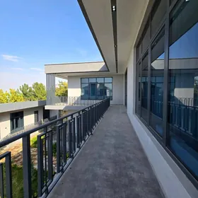 ANEW FULL HAYTEK KOTTEJ
