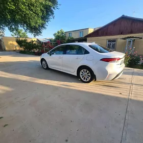 Toyota Corolla 2020