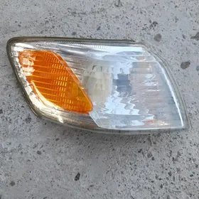 pawarotnik babcka