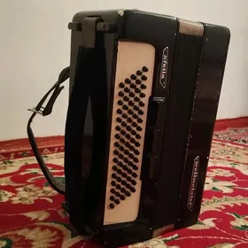 Akkordeon