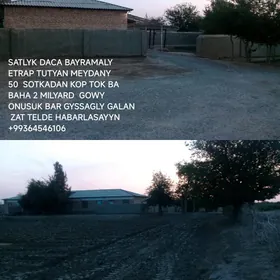 Satlyk Daca