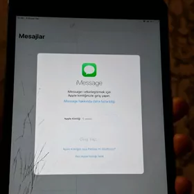 ipad mini 2