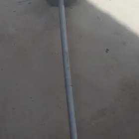 stanga